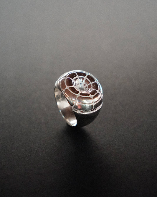 Vortex